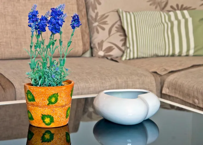 Apartament Port View-5 Min From Center Split